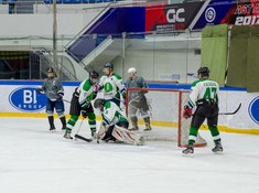 «Волки» - «Родина» 1:3. Сезон АЛХЛ 2017-2018