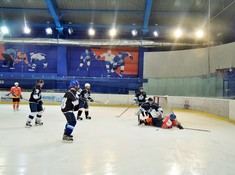 «Kings» - «Tigers» 2:0. Сезон АЛХЛ 2017-2018