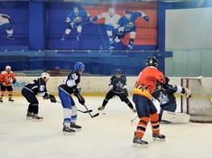 «Kings» - «Tigers» 2:0. Сезон АЛХЛ 2017-2018