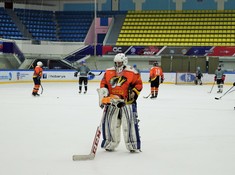 «Волки» - «Tigers» 7:0. Сезон АЛХЛ 2016-2017