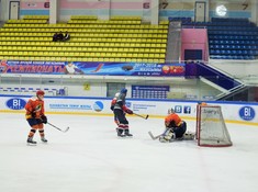 «Волки» - «Tigers» 7:0. Сезон АЛХЛ 2016-2017
