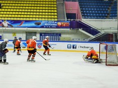 «Волки» - «Tigers» 7:0. Сезон АЛХЛ 2016-2017