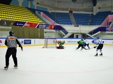 «Родина» - «BI Group-2» 6:1. Сезон АЛХЛ 2017-2018