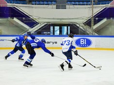 «BI Group-2»  -«BarysFans -2»   1:6.  Сезон АЛХЛ 2016-2017