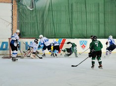 «BI Group» - «Родина» 5:3. Сезон АЛХЛ 2017-2018