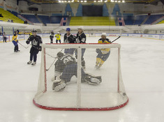 TARLAN - KINGS. 16-Й ТУР АЛХЛ 2018-2019