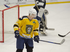 TARLAN - KINGS. 16-Й ТУР АЛХЛ 2018-2019