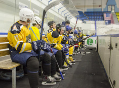 TARLAN - KINGS. 16-Й ТУР АЛХЛ 2018-2019