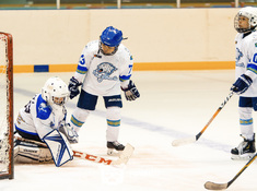 Турнир «Alau Cup» в формате Cross Ice Hockey 10 апреля 2019. Фото: ppz.kz