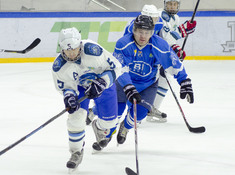 BI HOCKEY TEAM - BRIGANTINA 2. 7-Й ТУР АЛХЛ 2019-2020