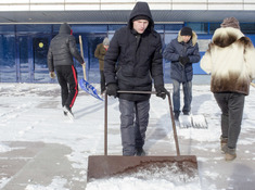 BARYS FANS - НИВА. 15-Й ТУР АЛХЛ. 2019-2020
