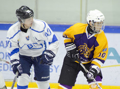 TITAN - BI HOCKEY TEAM. 14-Й ТУР АЛХЛ. 2019-2020