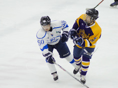 TITAN - BI HOCKEY TEAM. 14-Й ТУР АЛХЛ. 2019-2020