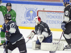 KINGS - РОДИНА. 16-Й ТУР АЛХЛ. 2019-2020