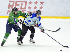 ПОИСК - РОДИНА. PLAYOFF (ИГРА 2). 2019-2020