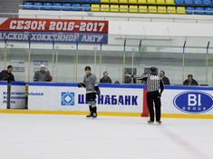 «Joker»- «Волки» 1:0. Матч за 3 место АЛХЛ 2016-2017